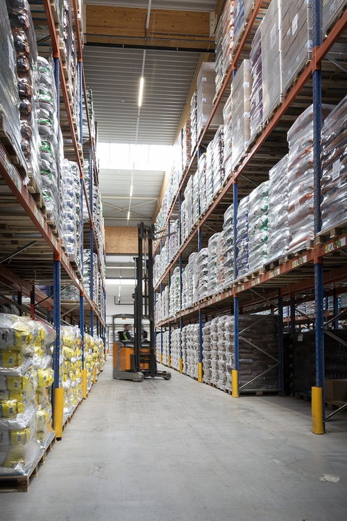 森西 源于自然，归于本真