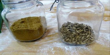 芬兰食品公司推出世界首款蟋蟀粉面包，开创可持续食品新纪元